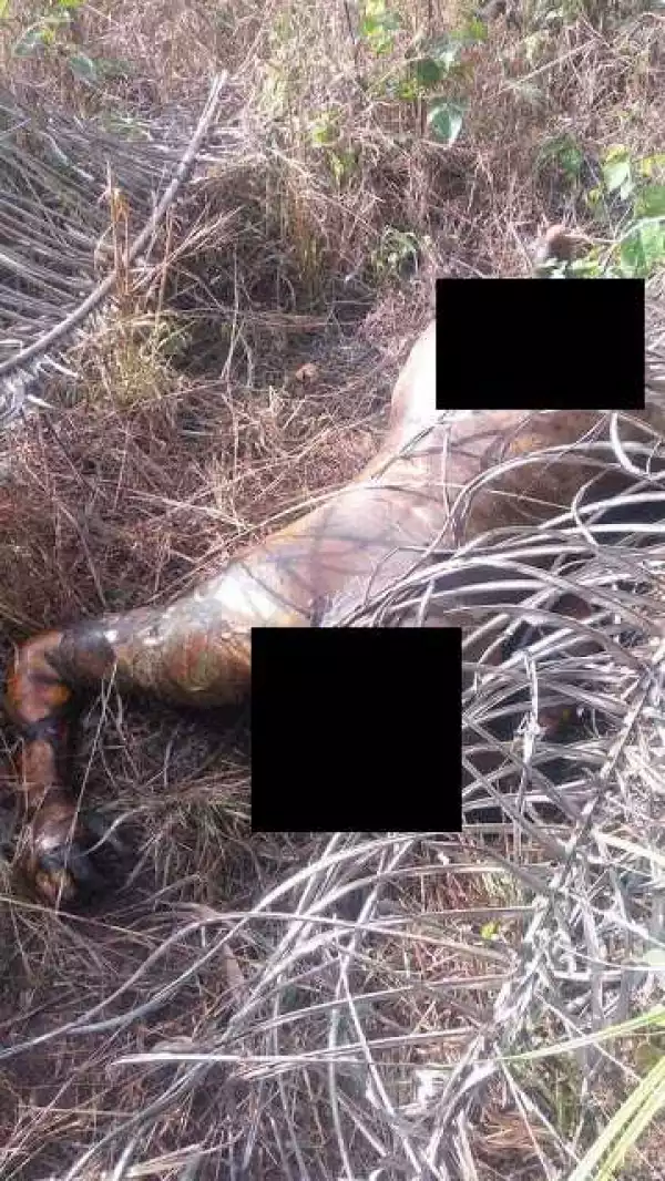 Graphic photos of girl found with head, breasts and private part missing in Imo state